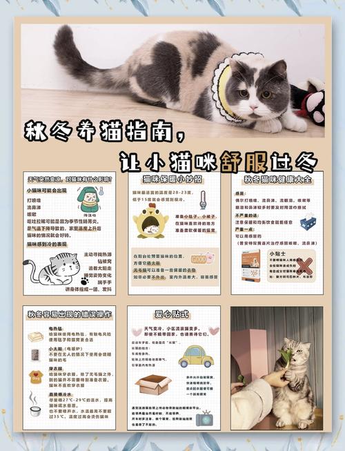 猫咪怕冷怎么办