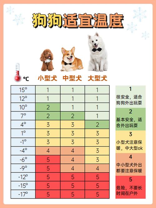 狗的体温36度正常吗(狗狗体温36.5度怎么办)
