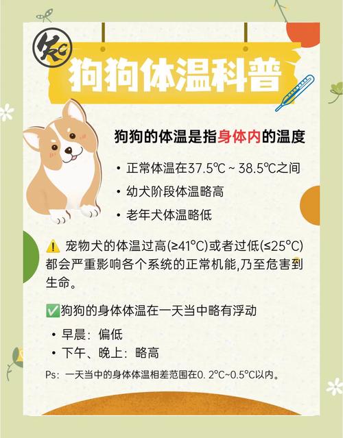 狗狗发烧摸哪里才知道