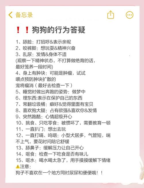 “狗生受用的7件事情