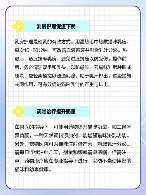 猫咪没有奶水怎么办?