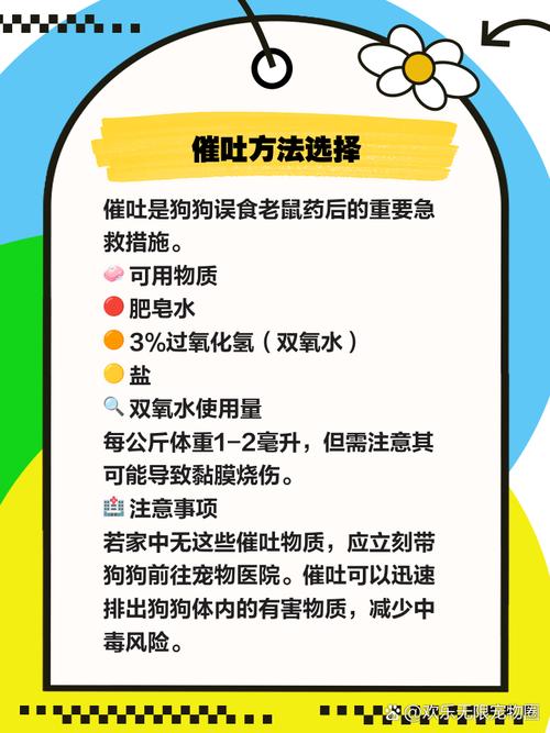 狗吃了老鼠药怎么办?