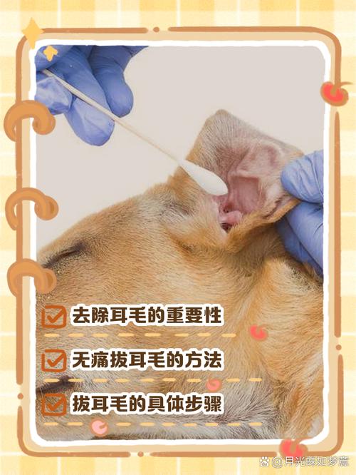 狗狗毛打结怎么办