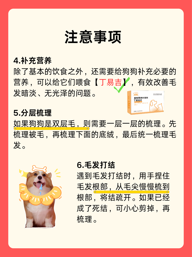 狗狗日常毛发护理,快速消除狗狗毛结