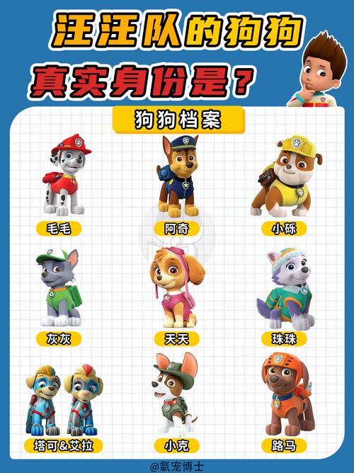 如何给狗狗起名字?