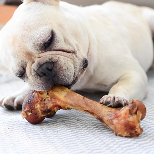 狗狗吃哪些骨头比较合适