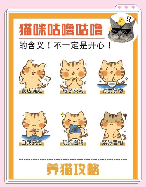 我摸猫猫的时候,他发出咕噜咕噜的声音是什么意思?