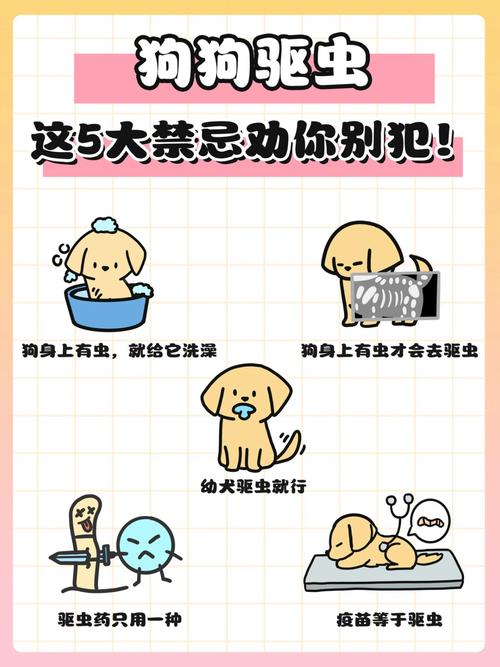 新手养狗必备攻略,有这一篇就够了!