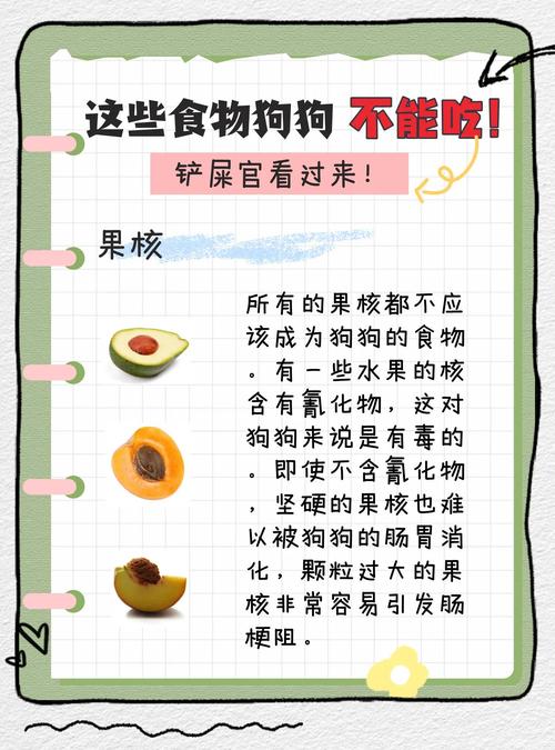 狗狗为什么不用吃蔬菜沙拉