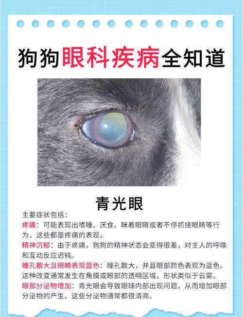 狗狗眼睛不好跟肝脏不好有关系吗