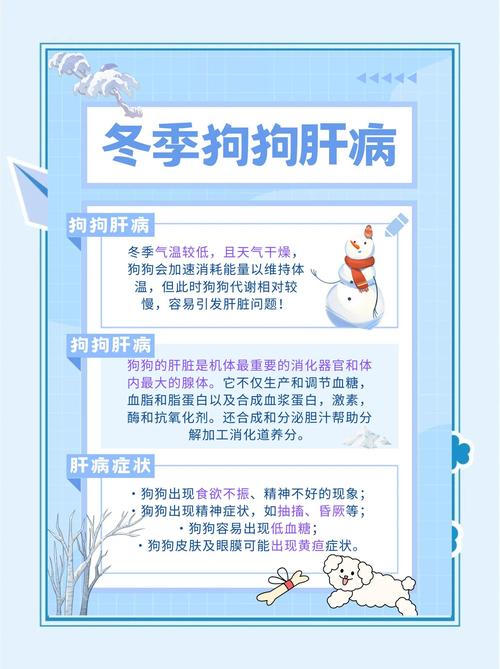 狗狗肝脏不好怎么调理