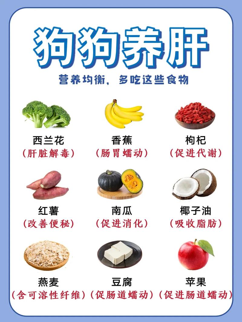 狗狗肝脏有问题吃些什么比较好