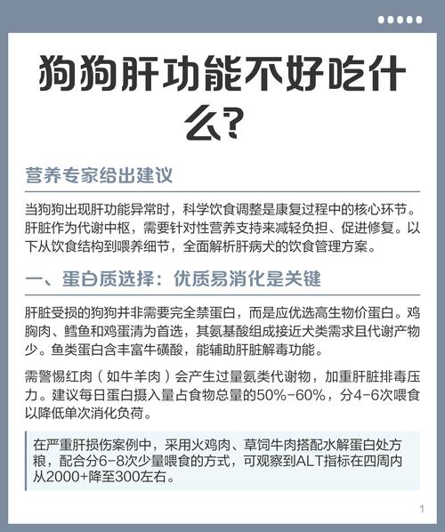 狗狗保肝护肾吃什么药好