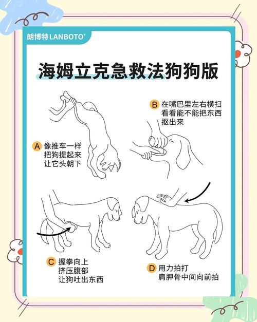 狗吃骨头卡喉咙怎么办?