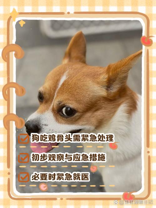 狗狗吃鸡鸭骨头卡在喉咙里怎么办?