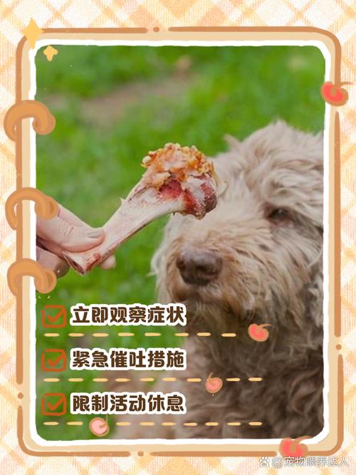 狗吃骨头卡住了怎么办?