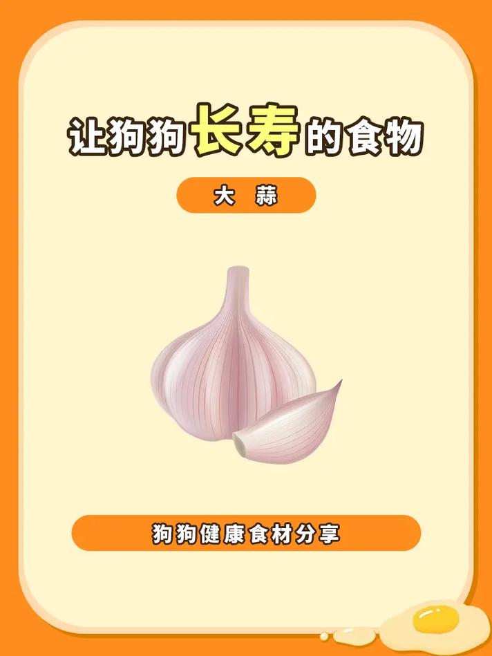 狗狗可以吃大蒜吗