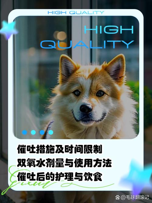 狗吃蒜了怎么办