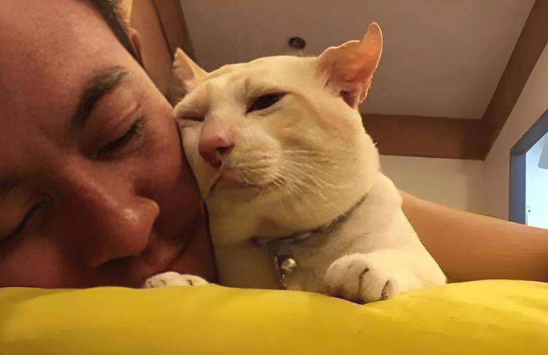 猫咪为什么早上闻脸