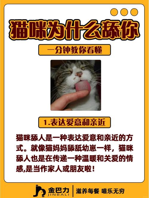 猫咪吸主人脸是为什么