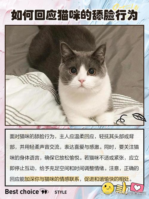 猫为什么喜欢闻人脸