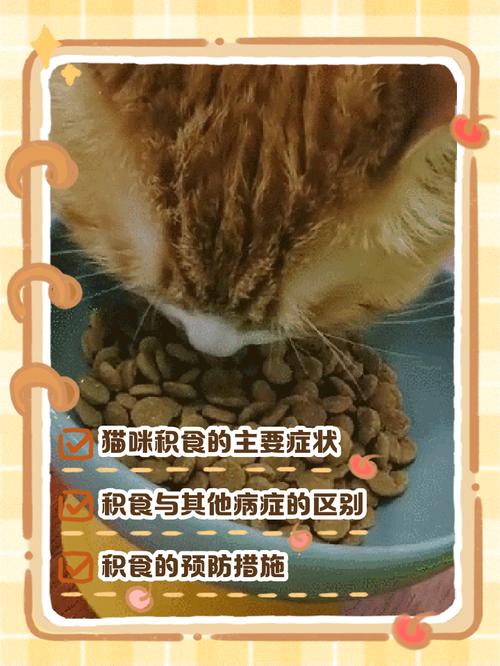 猫咪的肠道是怎么样的?
