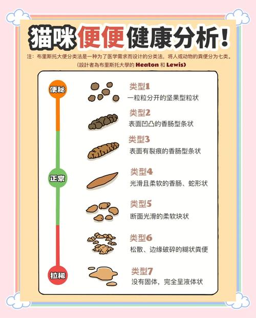 狗狗猫咪的消化和营养需求区别在哪里?铲屎官快收藏