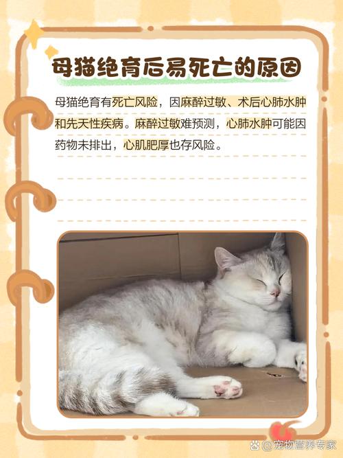 家里养猫不能绝育对人有影响老一辈人说