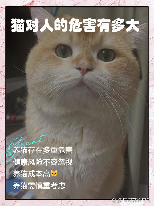 猫咪到底是绝育好还是不绝育好