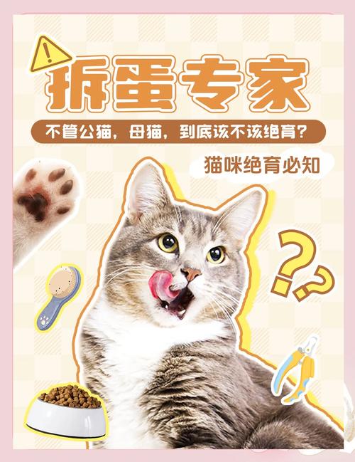 一目了然,猫咪“绝育”的好处和坏处,看完再决定也不迟