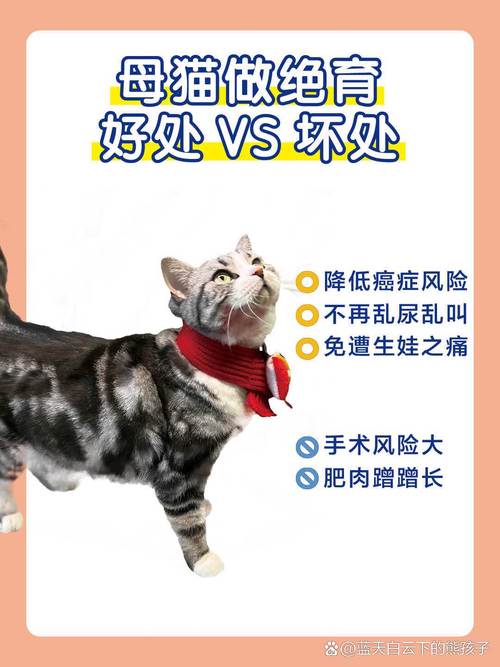 猫绝育有什么好处