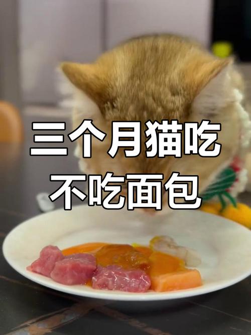 猫咪可以吃面包吗?