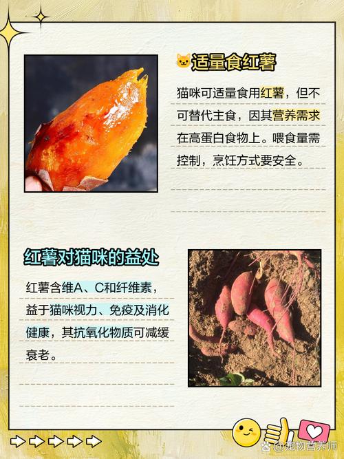 猫咪为什么喜欢吃红薯