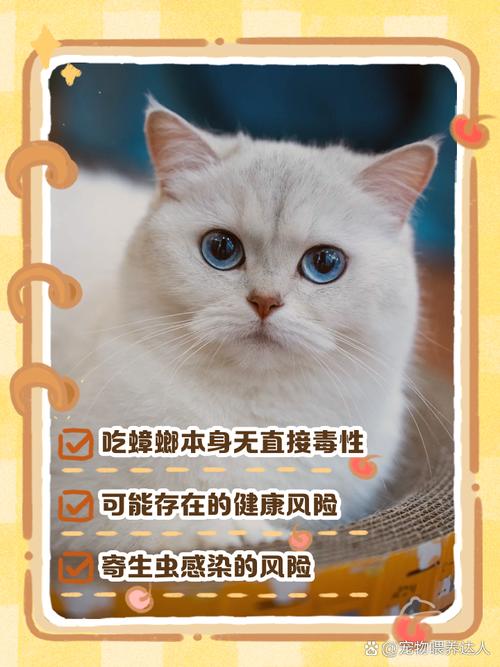 猫吃蟑螂吗
