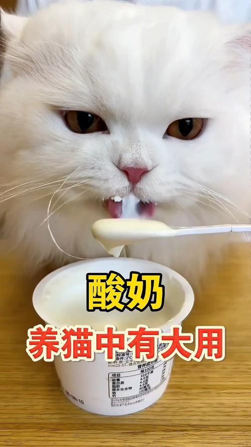 猫猫喝酸奶会怎样