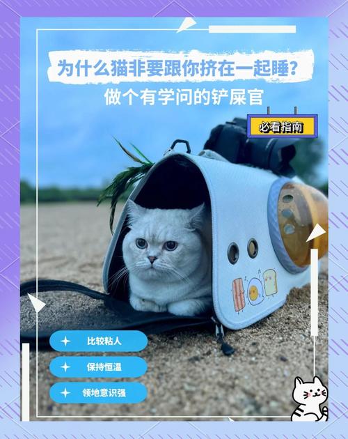 猫咪为什么喜欢和人睡