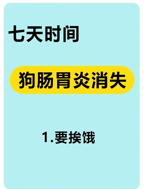 狗狗肠胃炎可以吃东西吗(狗肠胃炎能吃什么)
