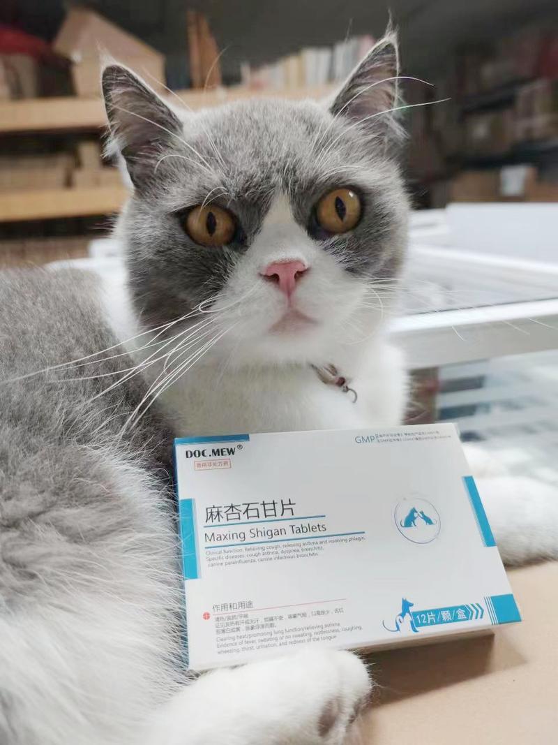 狗狗得了肺炎吃什么药