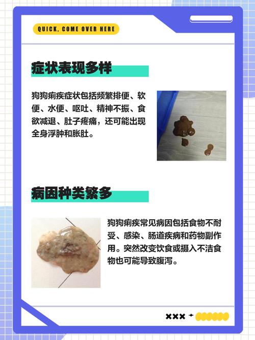 狗狗拉痢疾是为什么