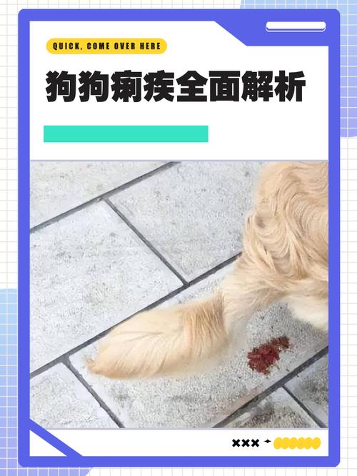 狗狗痢疾什么症状