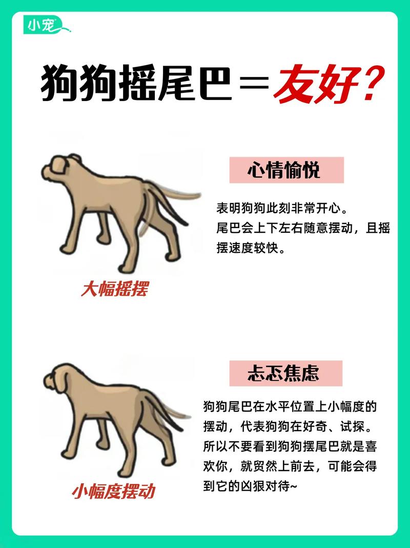 狗狗不会摇尾巴是为什么