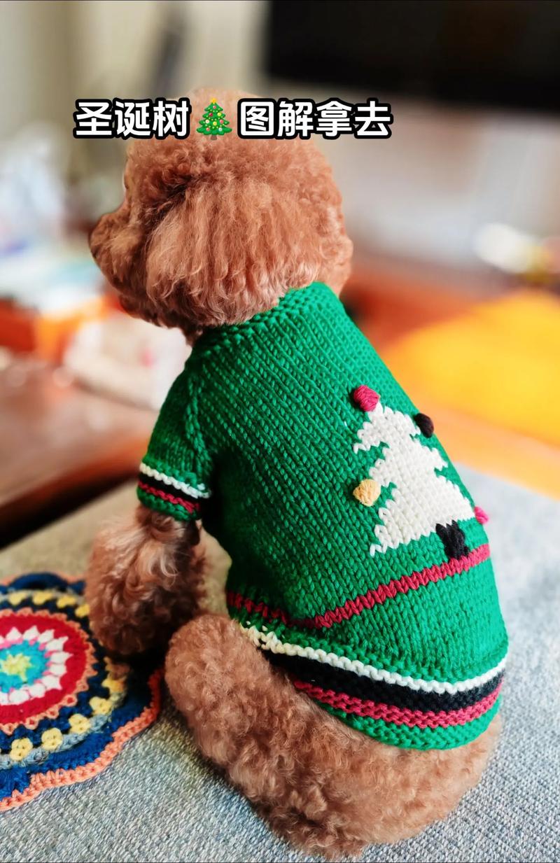 狗狗毛衣的简单织法