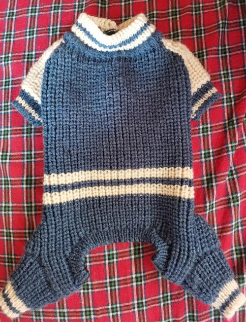 给狗狗织毛衣的全教程