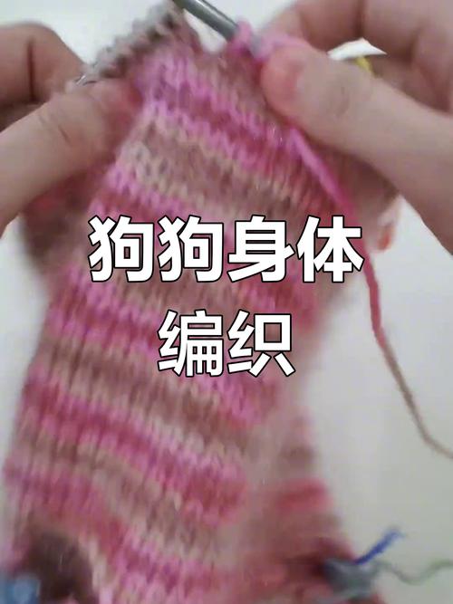 狗狗毛衣怎么织