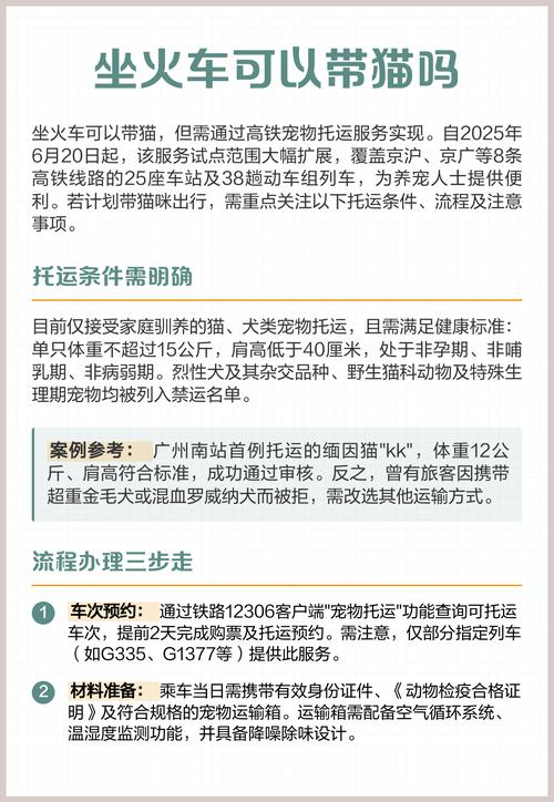 坐高铁可以带猫嘛