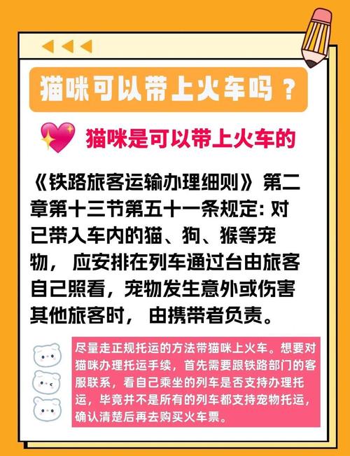 偷偷带猫上高铁的后果