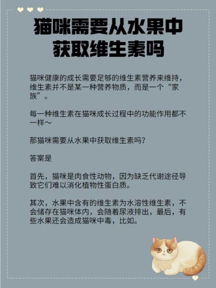 科普|猫咪需要从水果中获取维生素吗?