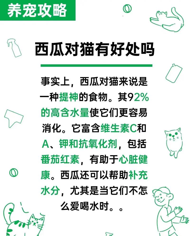 蓝猫最爱吃的10种食物