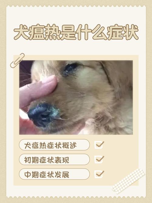 狗狗犬瘟热是什么症状