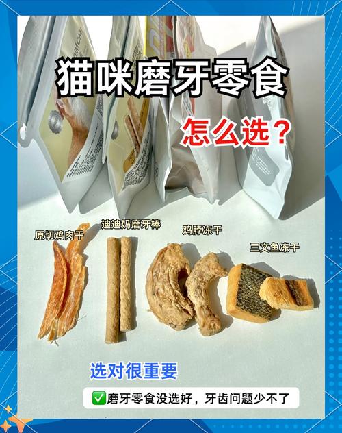 如何挑选给猫咪磨牙的食物?有什么好的推荐吗?